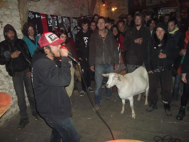 Grindcore fan that happened to be a goat passes away