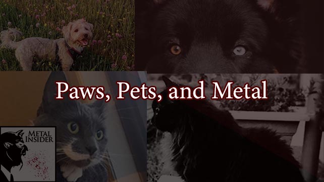 ICYMI: Metal Insider’s Paws, Pets, and Metal