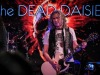 20240606_deaddaisies_1