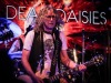 20240606_deaddaisies_18