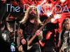 20240606_deaddaisies_2