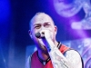 FFDP-3