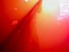 godflesh-by-di-lynn-ring-15