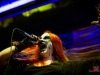 Painful_70000tons_of_Metal_2025-9
