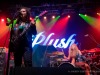 Plush_05-06-2022_10