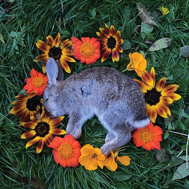 Monolord_YourTimeToShine | Metal Insider