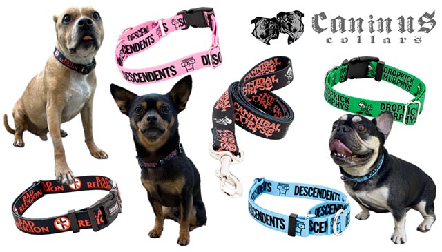 Caninus Collars: alternative pet accessories for the Holidays