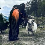 Hulders Ritual | Metal Insider