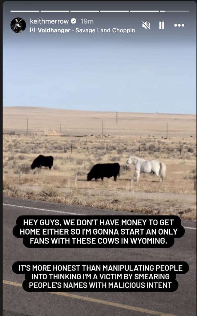 Screenshot | Metal Insider