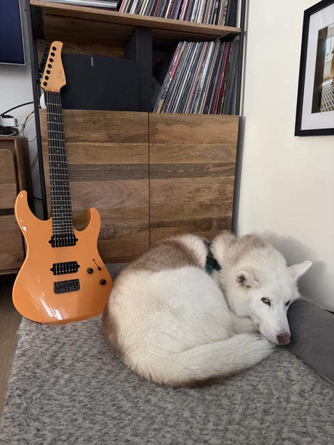 In_Virtue_Pets_1 | Metal Insider