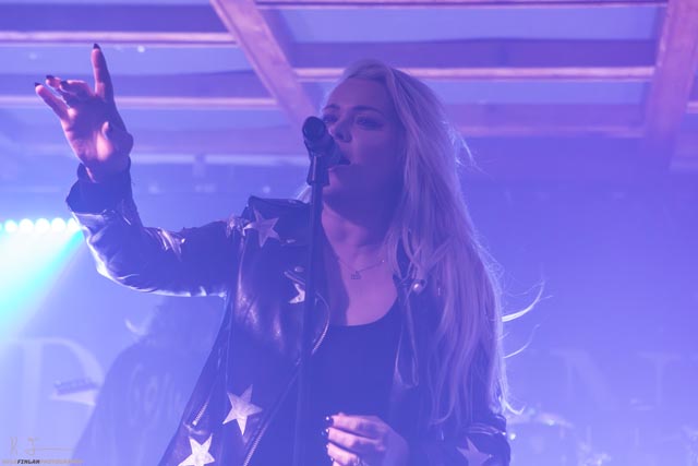 Tulip-3 | Metal Insider